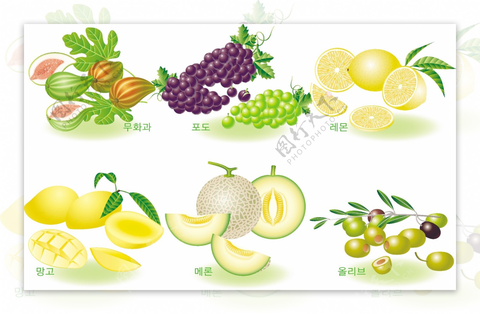 6种水果图片