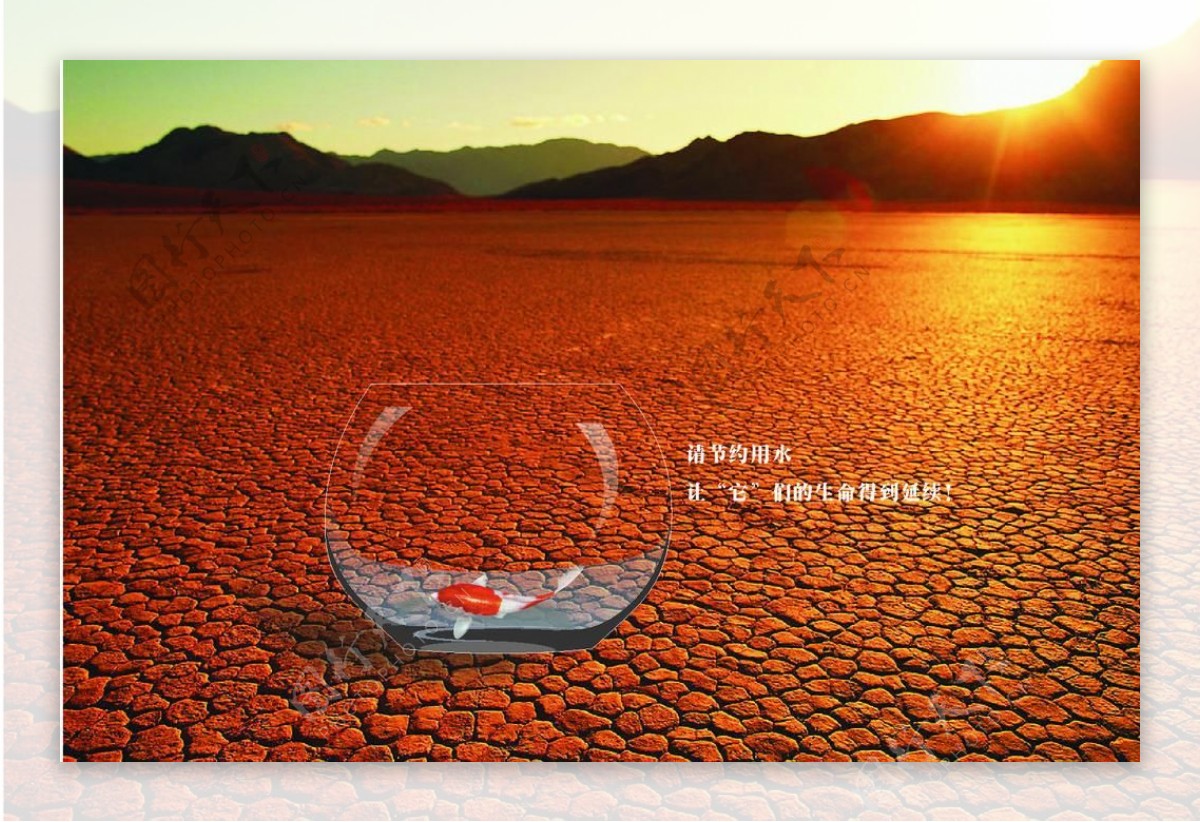 云南干旱公益广告图片