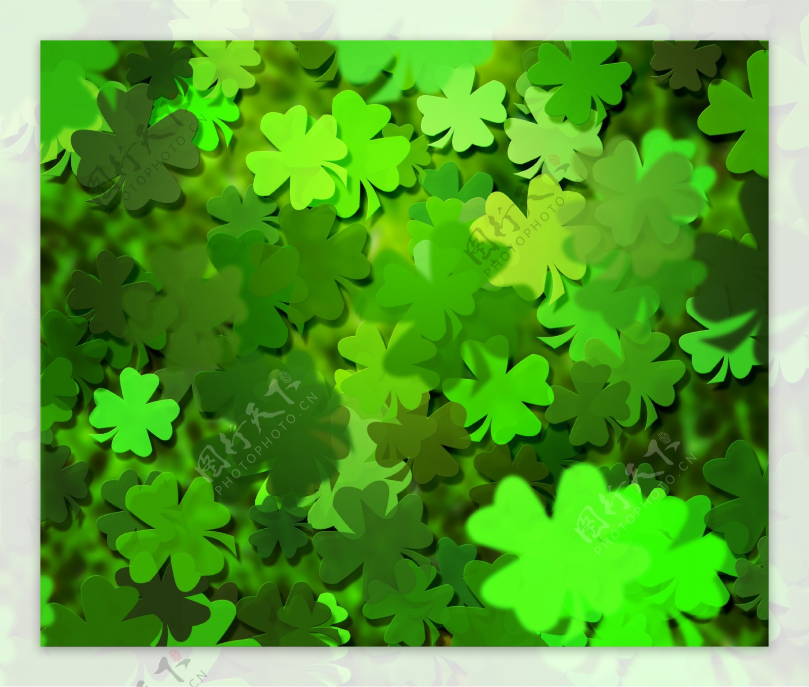 绿色的三叶草的纹理背景