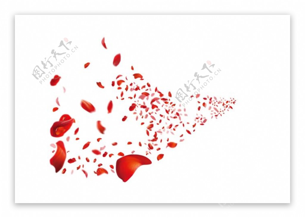 红色玫瑰花瓣背景PSD设计素