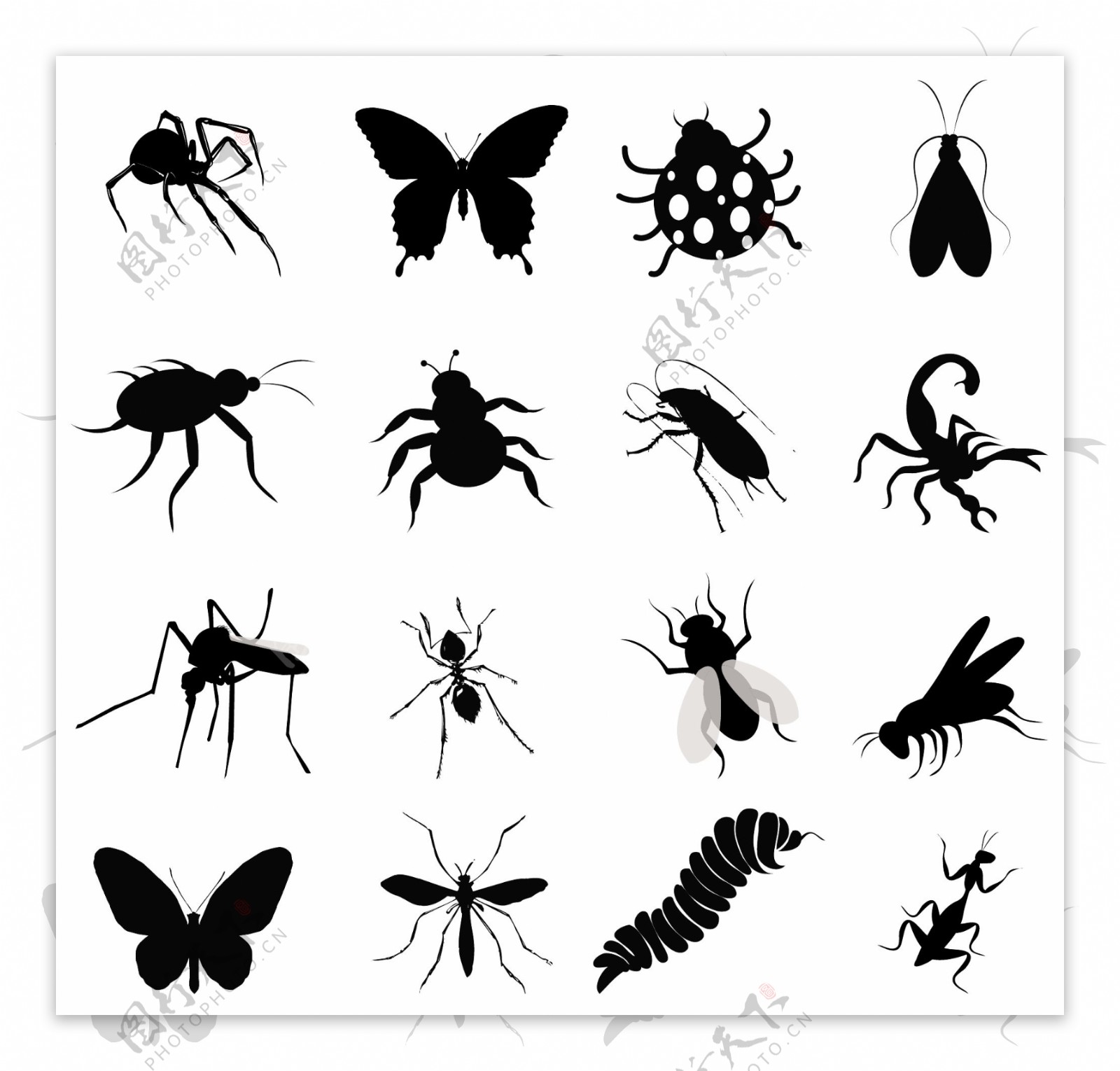 黑色昆虫集