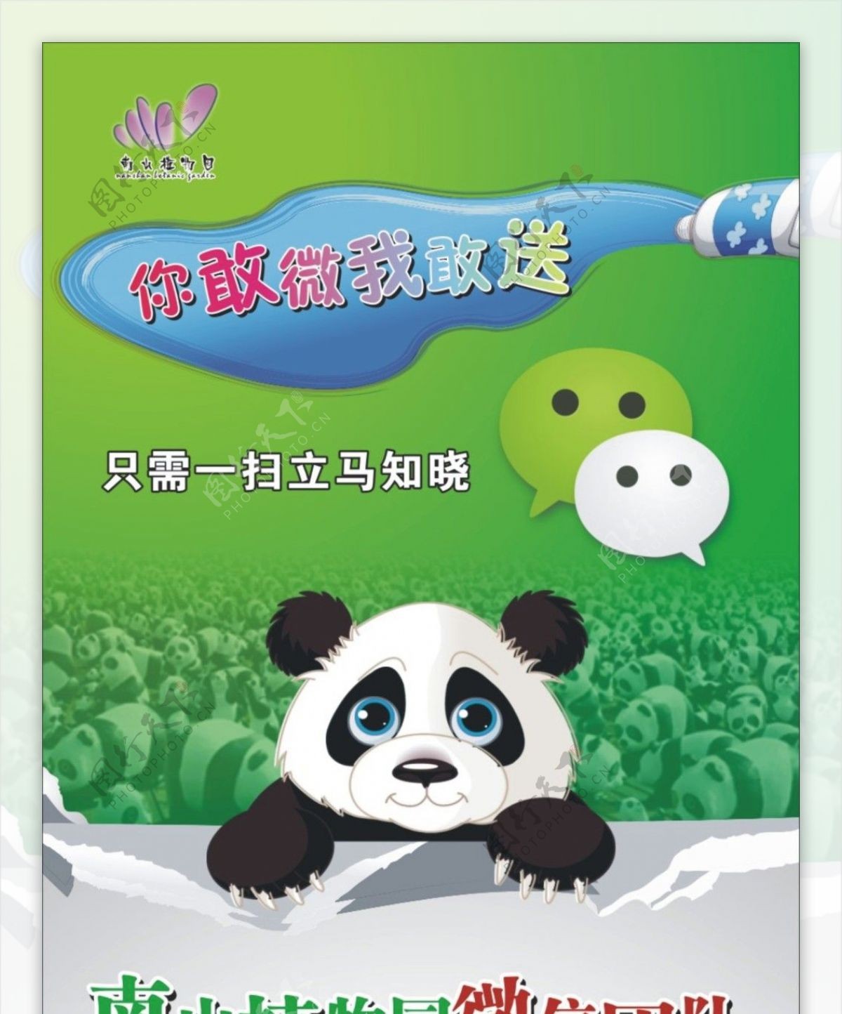 扫微信熊猫海报