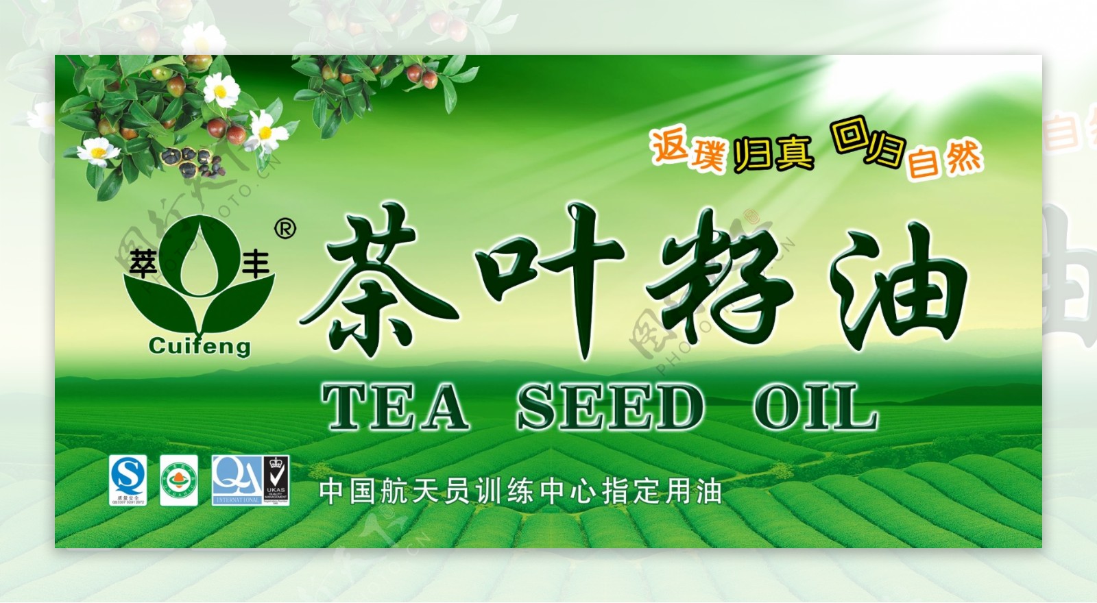 茶叶籽油广告宣传图片
