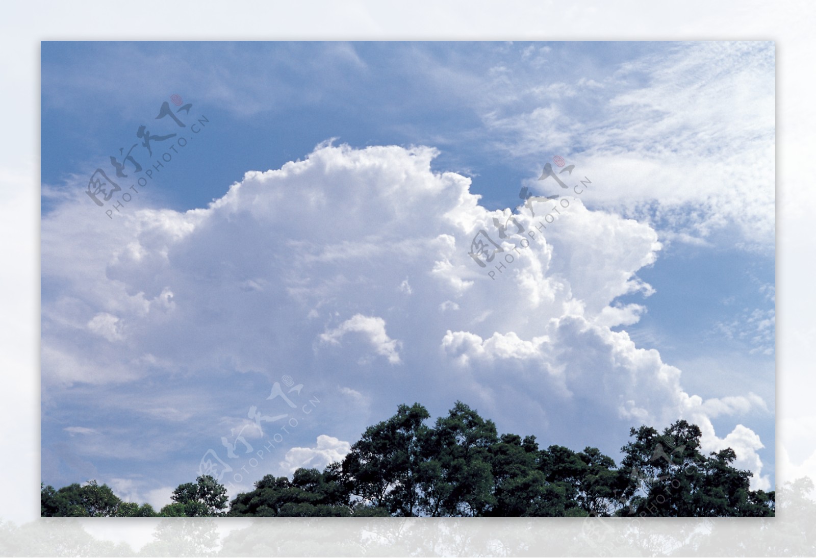 白云天空蓝天碧空晴空晴朗大自然美景风景云海云层树林