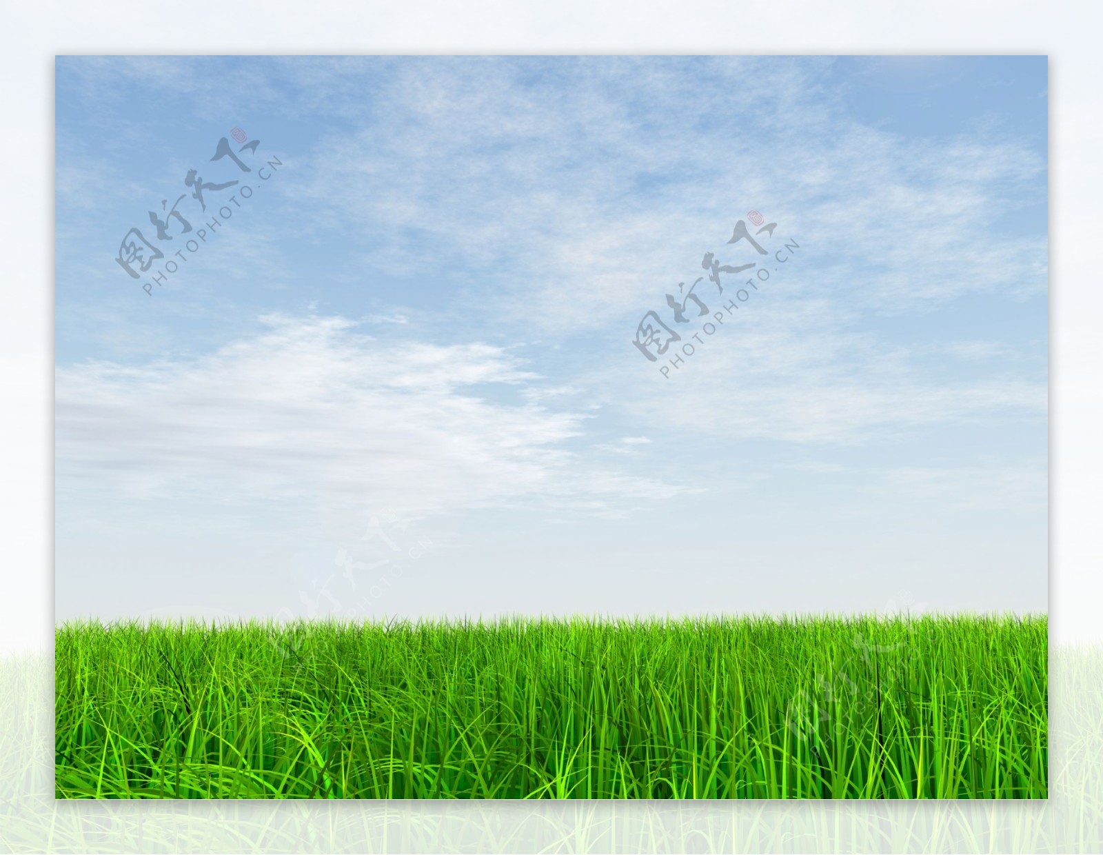 清新的蓝天与草丛高清图片