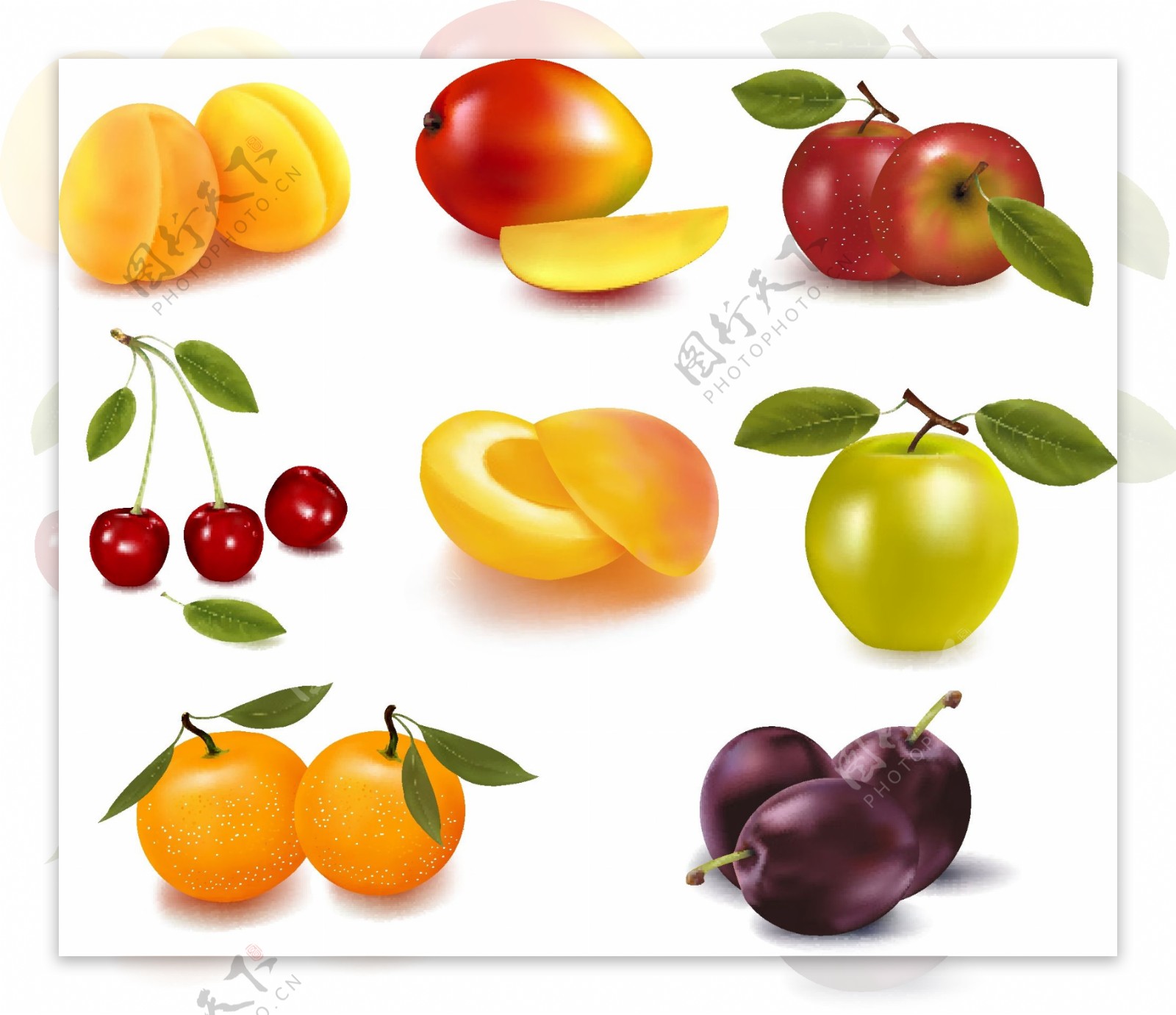 8种水果矢量素材