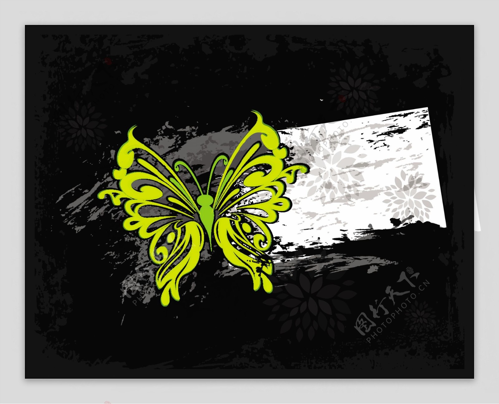 抽象的蝴蝶图案03矢量