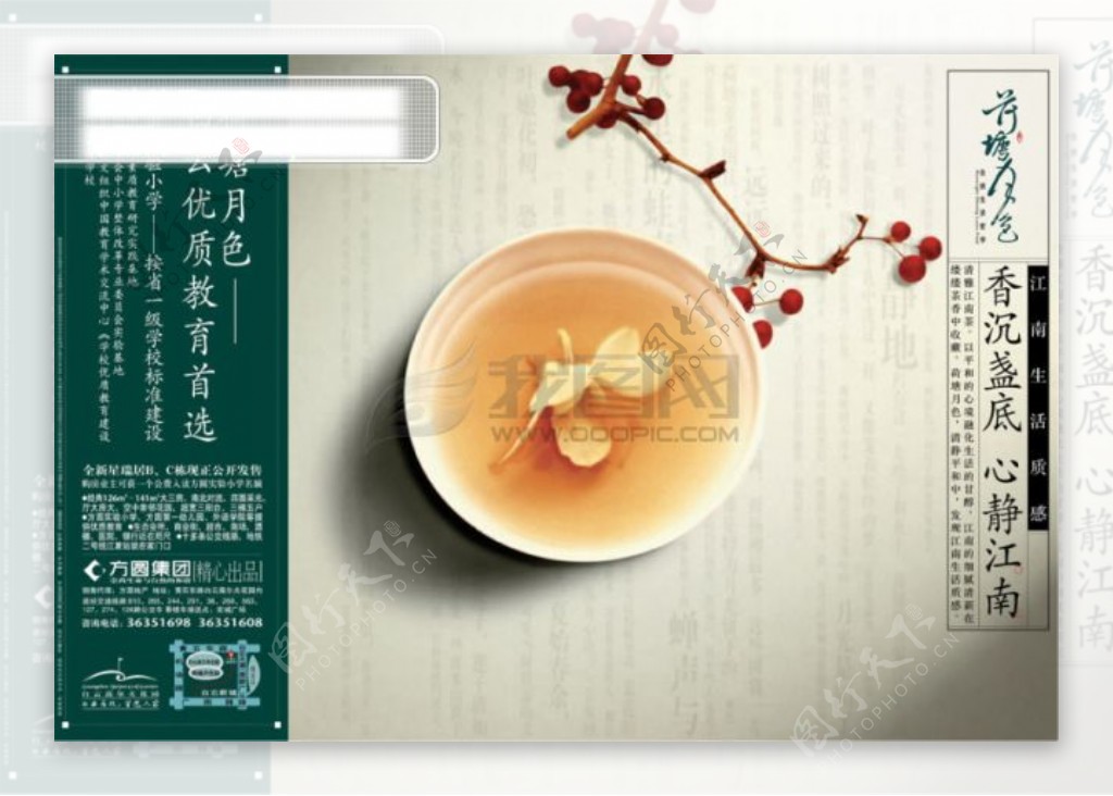 茶文化房地产宣传画册