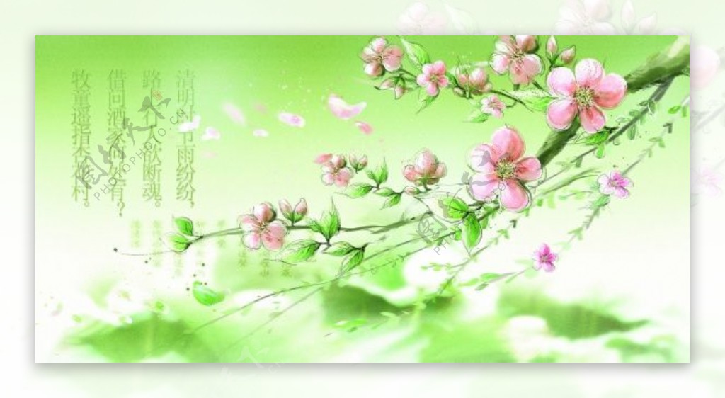 手绘桃花背景图清明花卉背景图设计