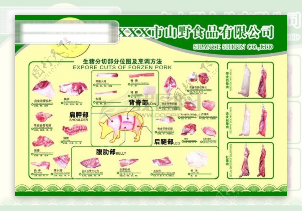 猪肉分割图展板展板展板广告