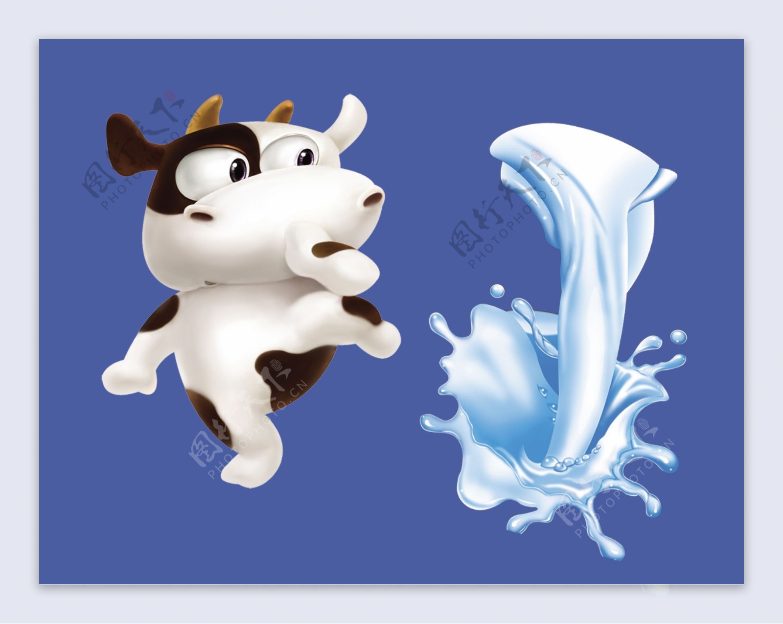 奶牛牛奶花图片