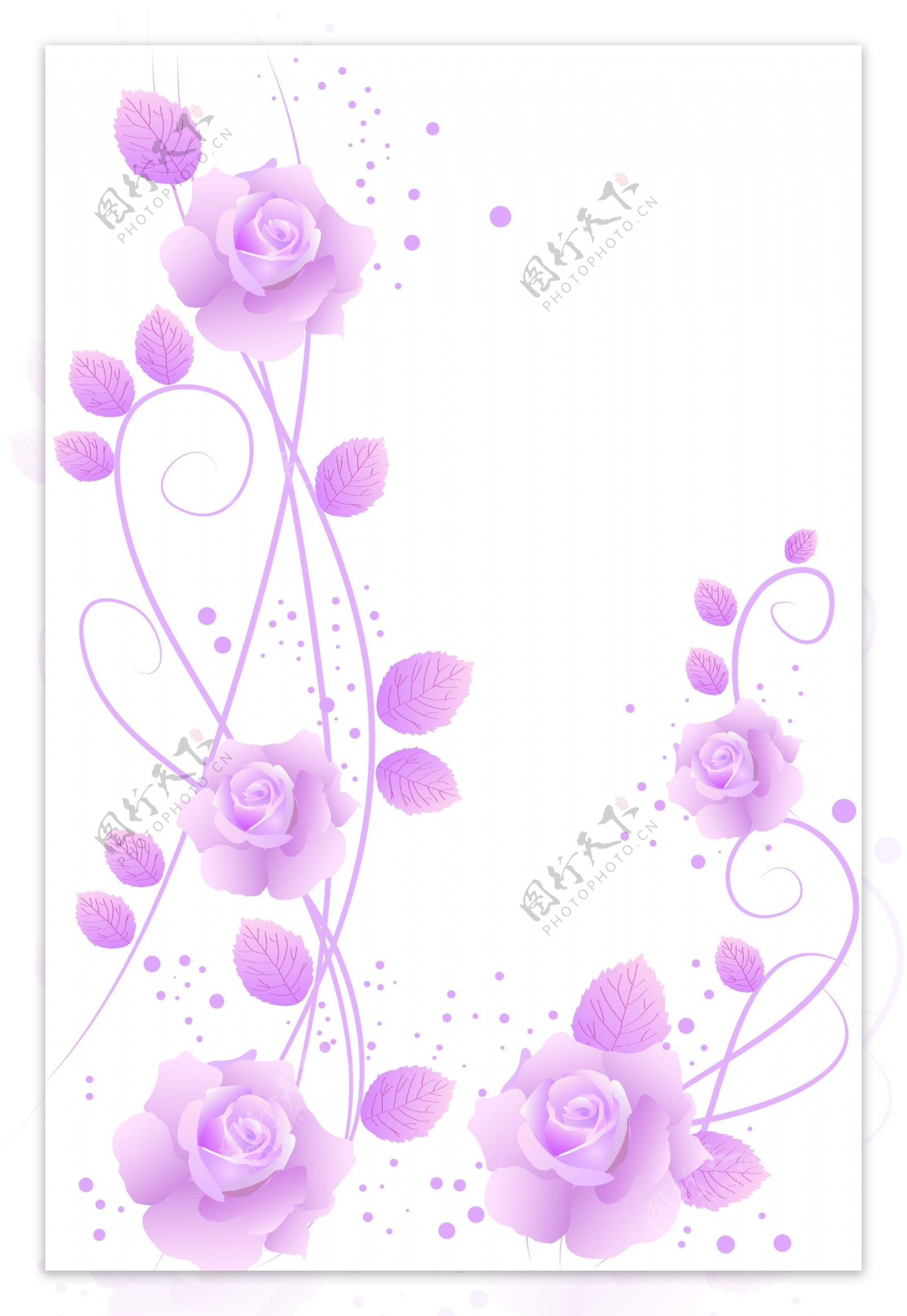 紫色潮流花纹花边
