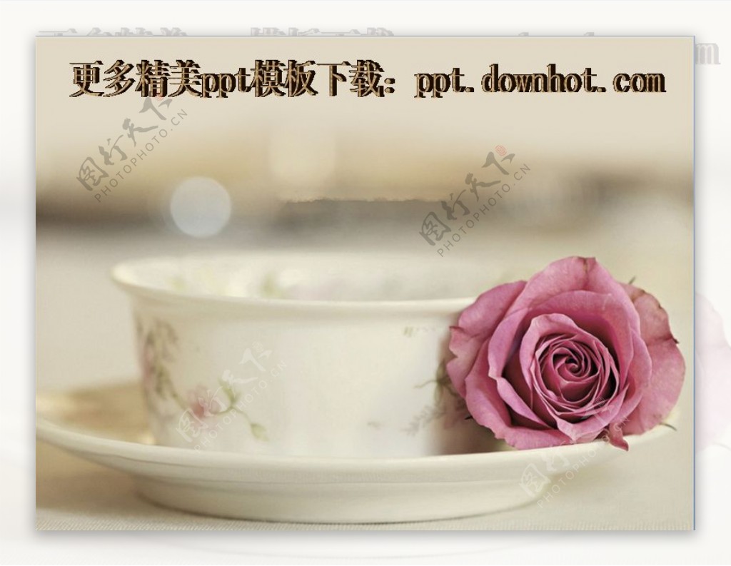 粉色玫瑰与咖啡杯背景的ppt模板