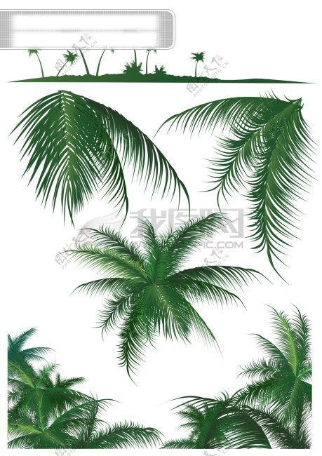 椰子树矢量图
