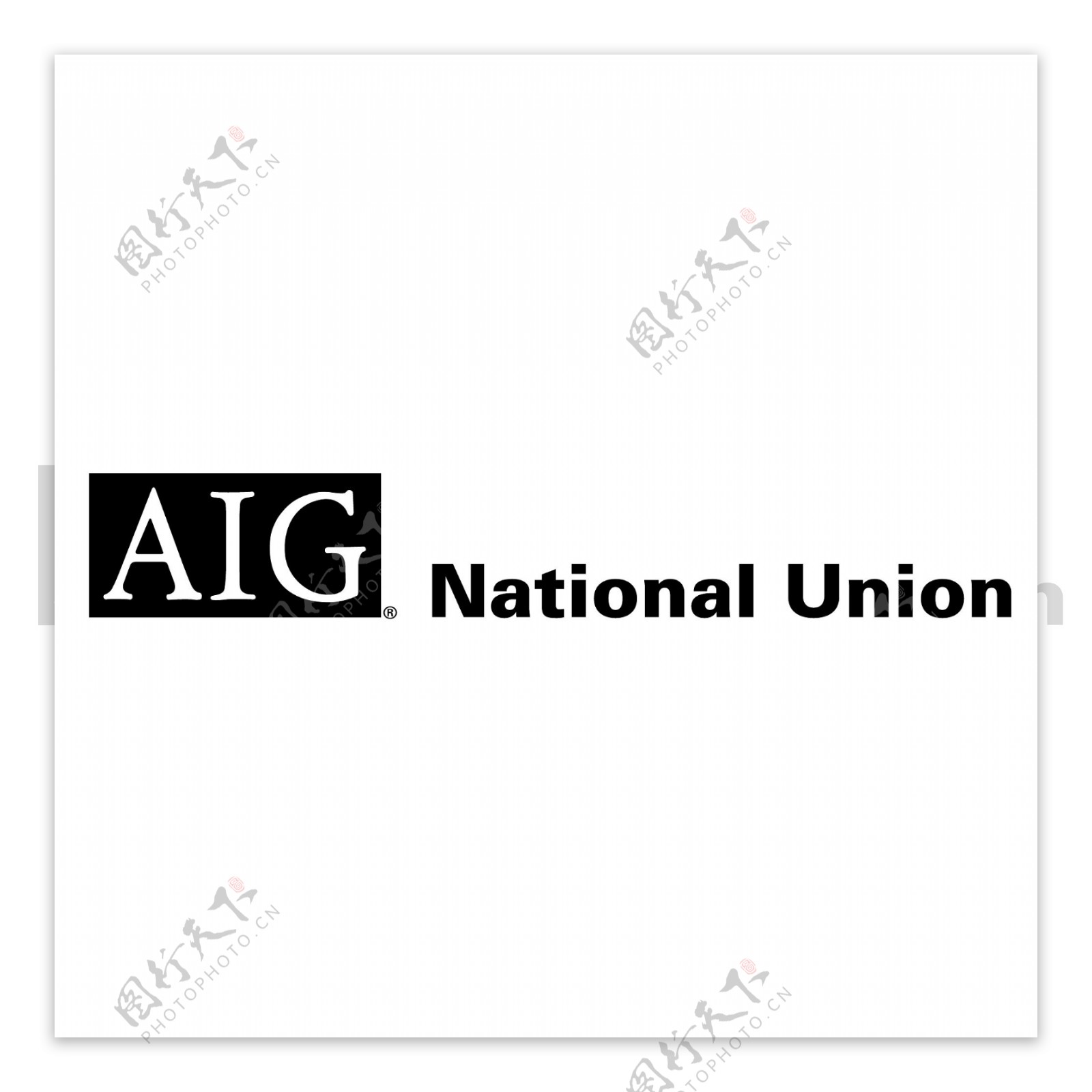 AIG民族联盟