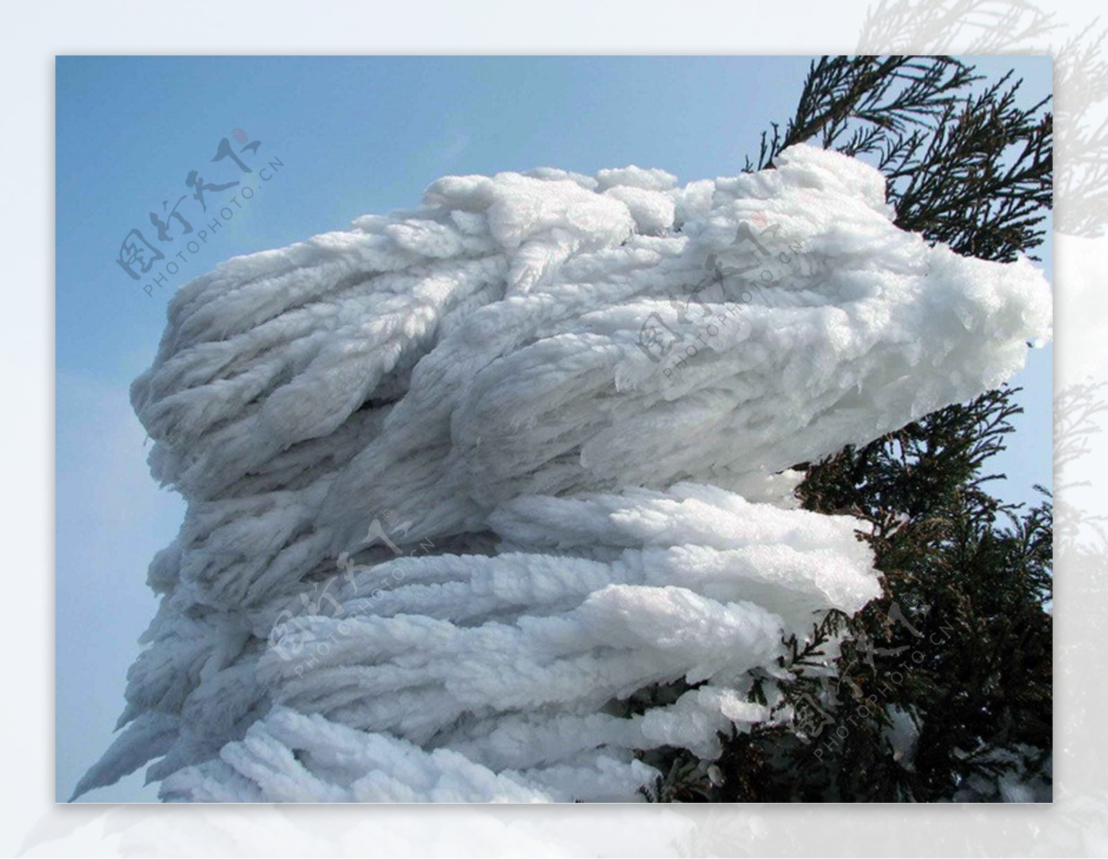 雪景雪地树木枯树冰河风景自然景观自然风景摄影图库