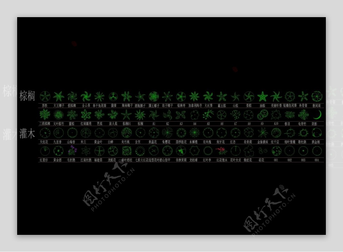 植物平面cad图块