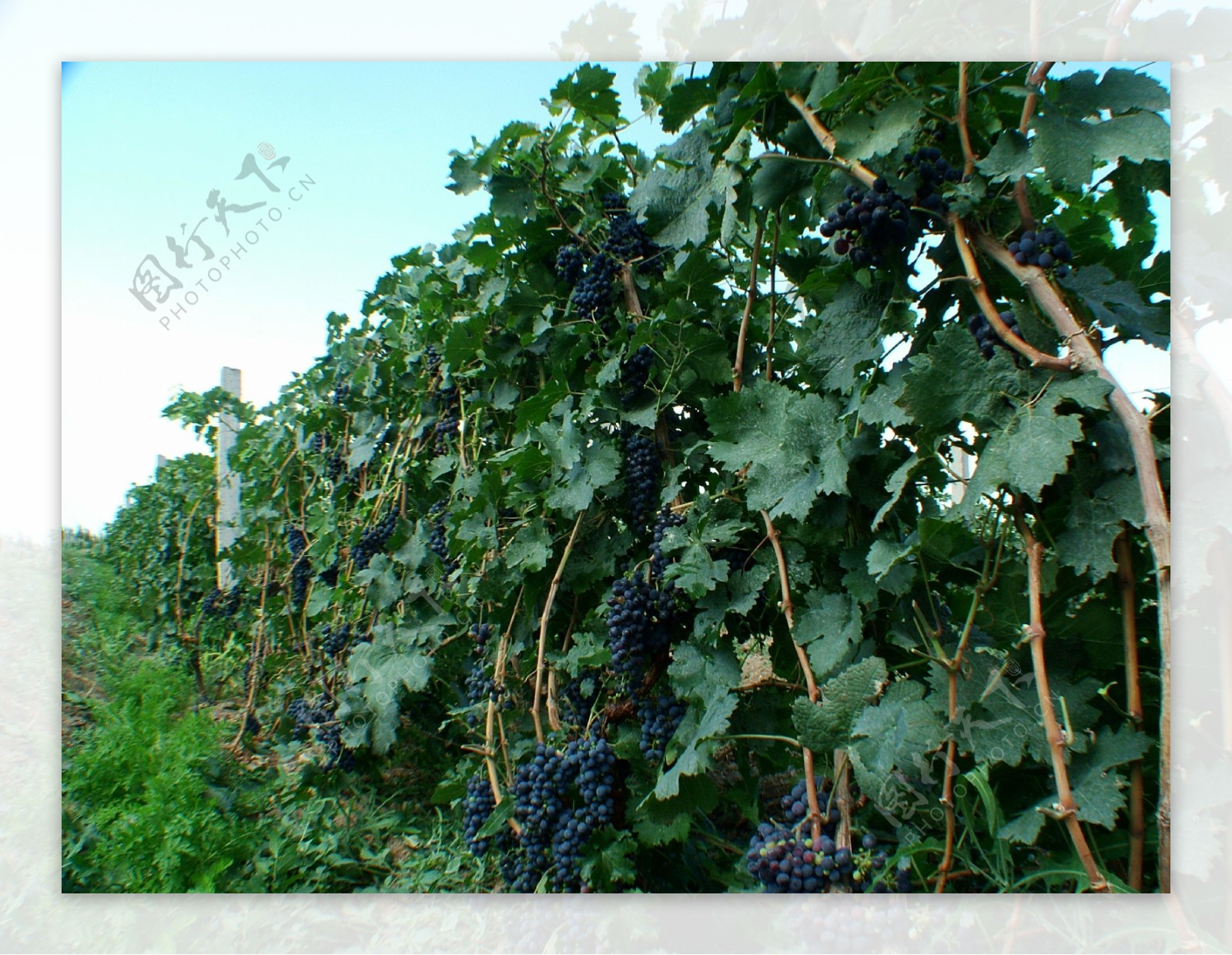 2012宁波国展中心进口葡萄酒文化节开幕_好酒网_大众网