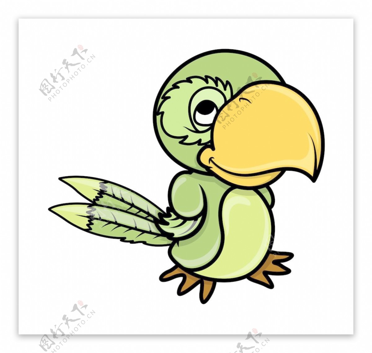 绿鹦鹉卡通插画矢量