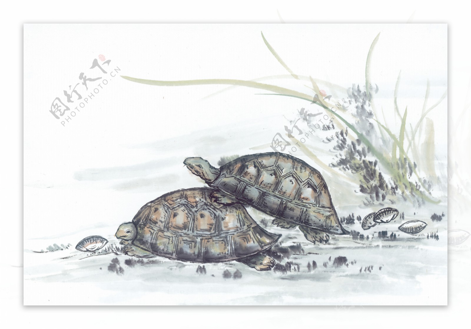 水墨画海龟背景图