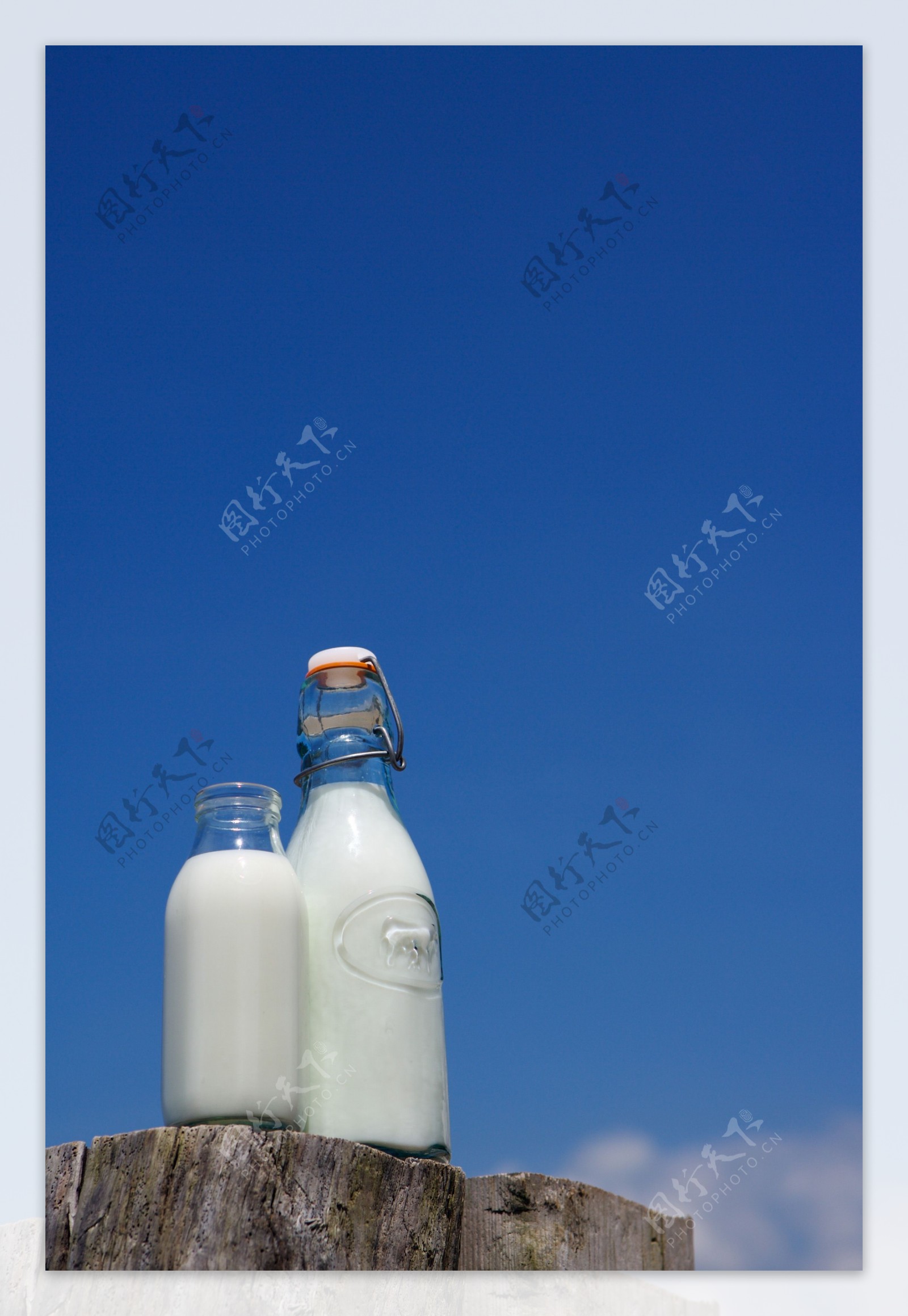 蓝天树木木头樟木奶瓶牛奶