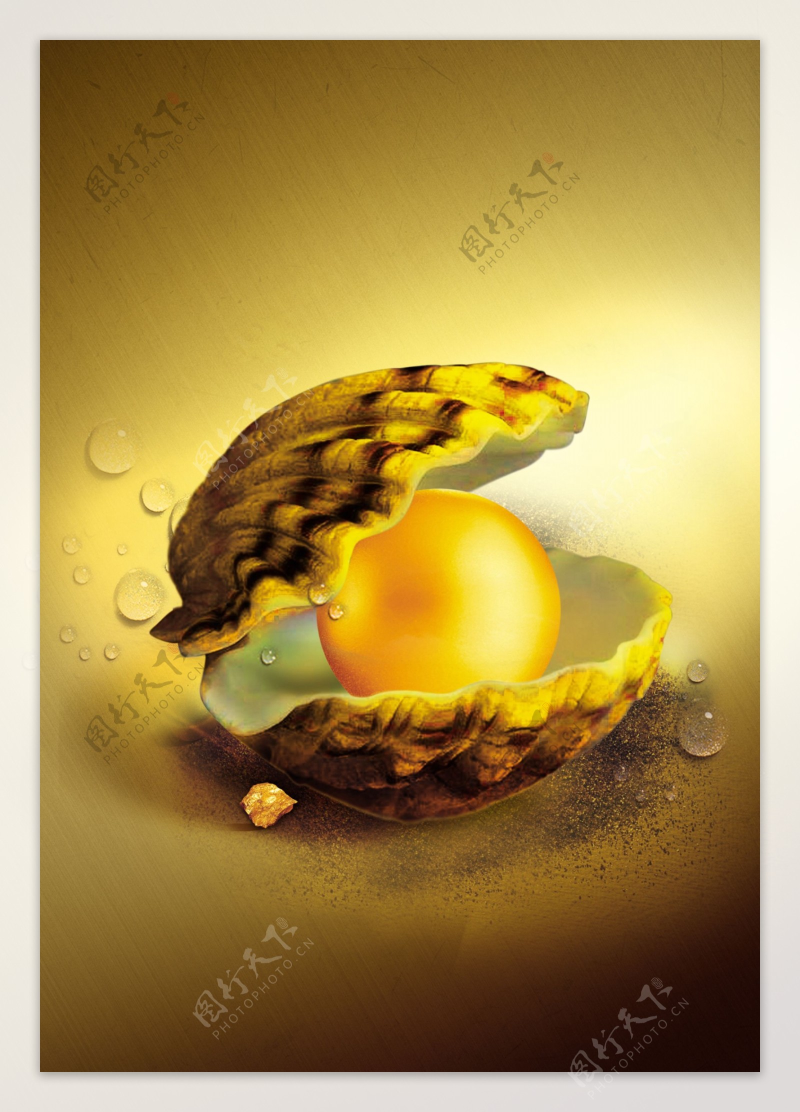 贝壳金蛋