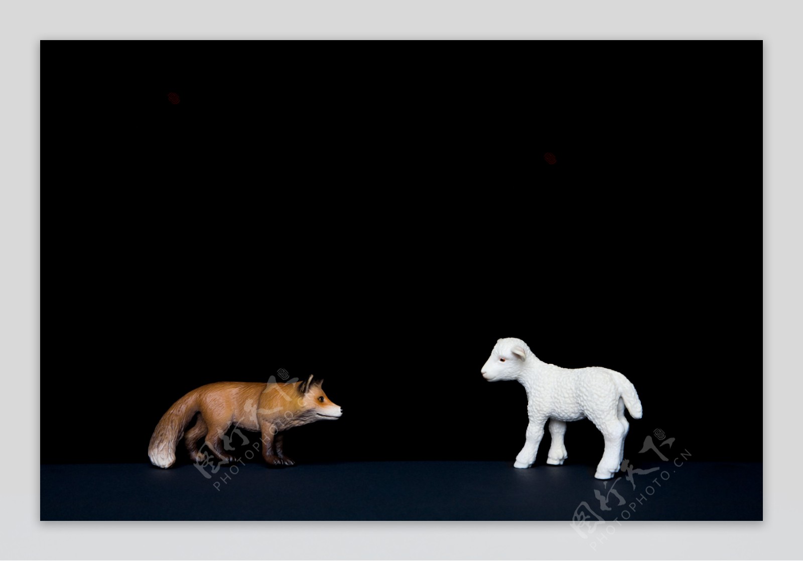 小羊和狐狸图片