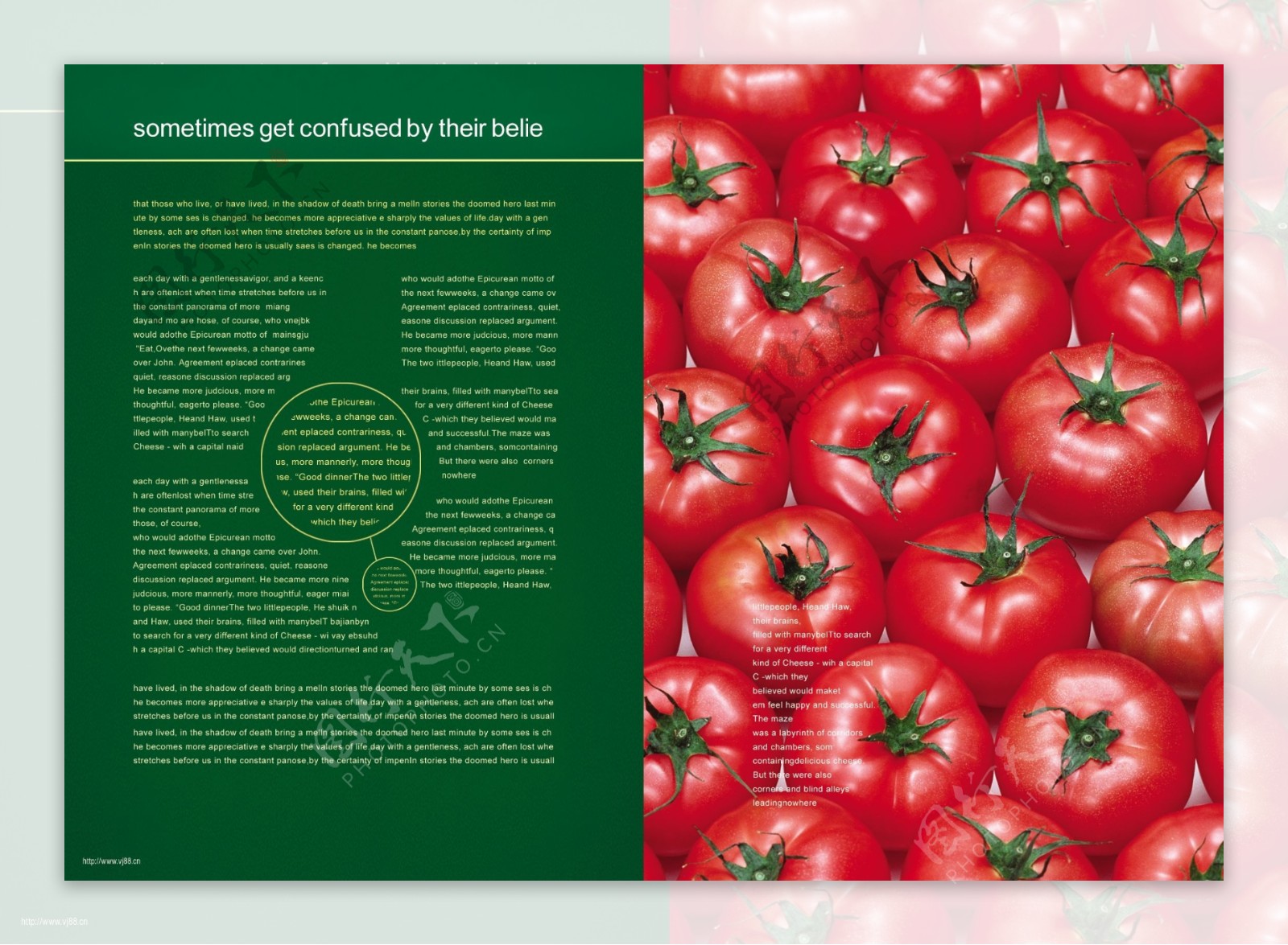水果宣传页画册封面设计