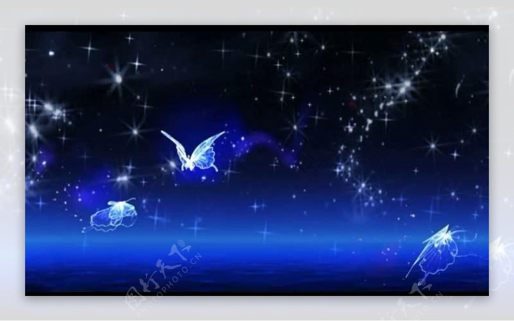 星空蝴蝶背景视频素材图片