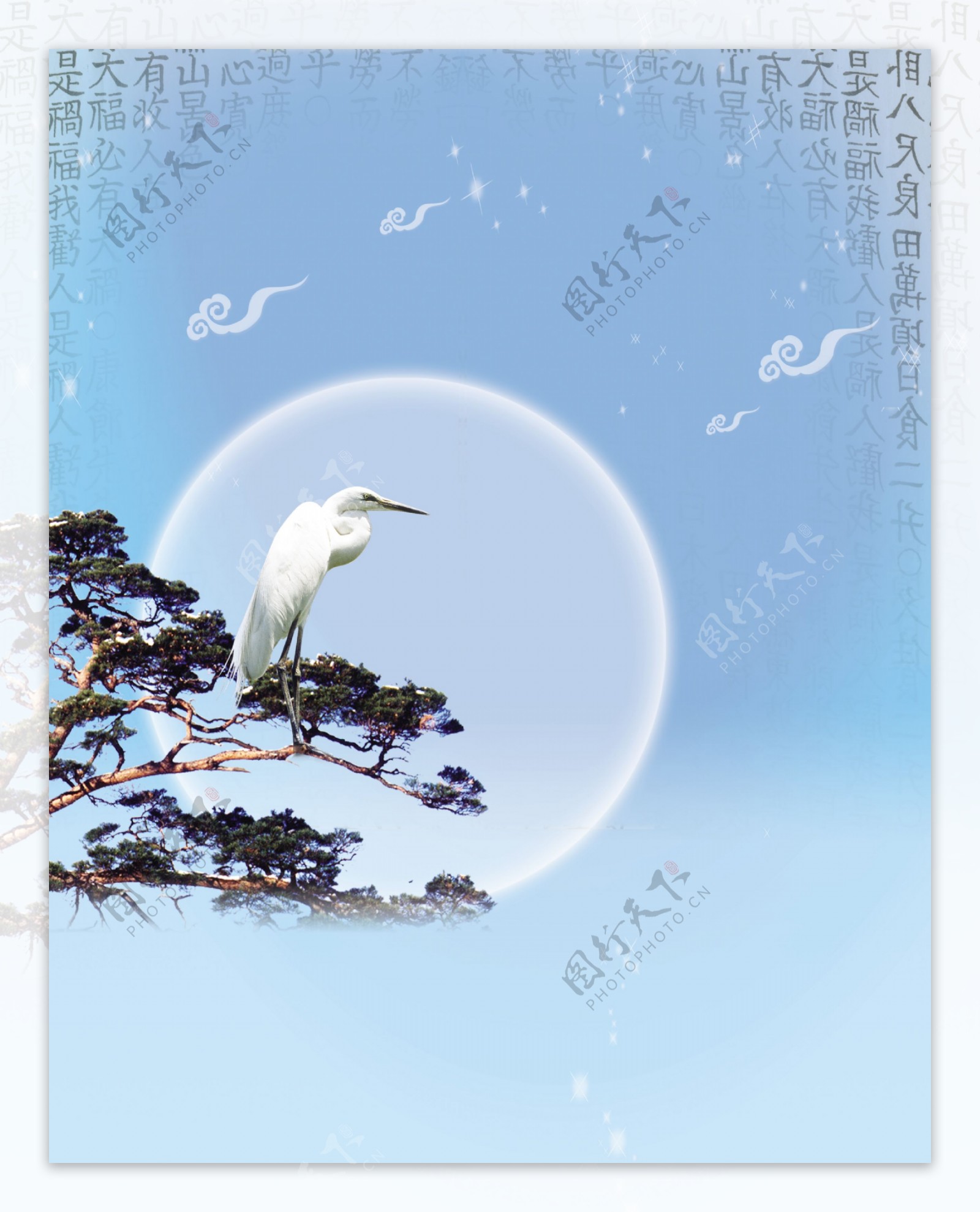 中国风站在树枝上的鸟