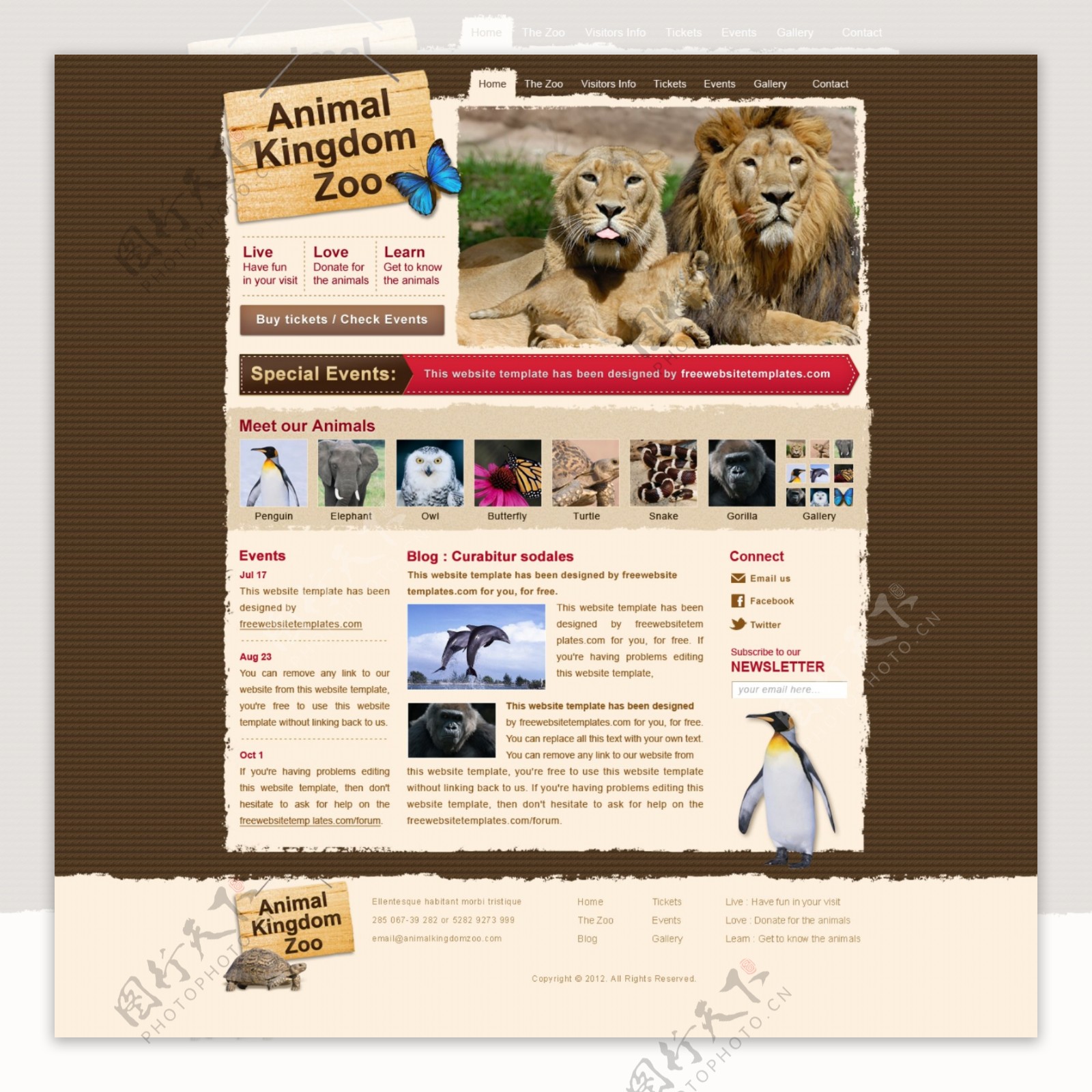 国外动物网站模板
