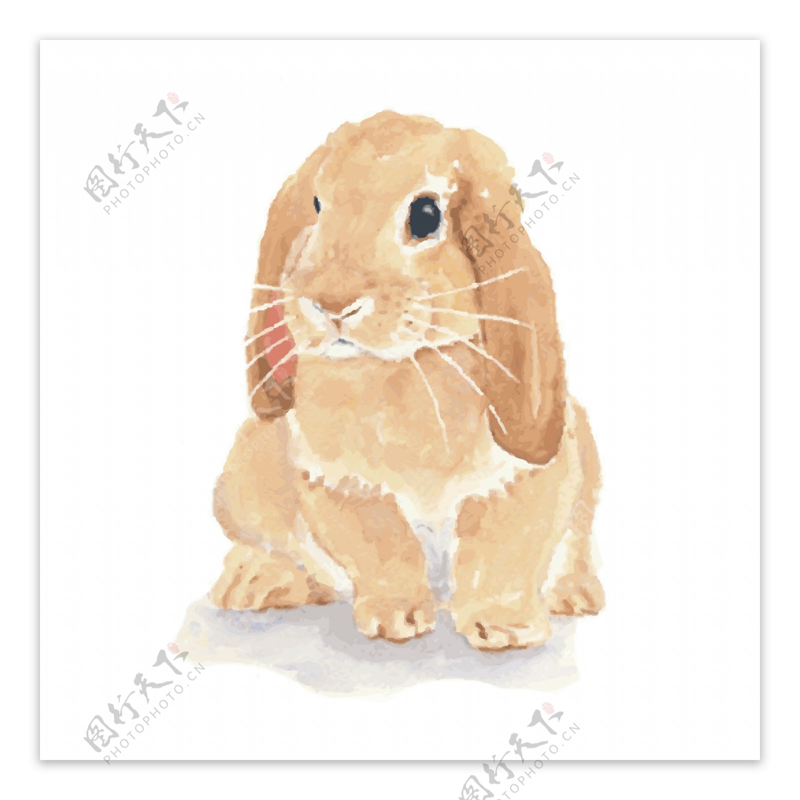 印花矢量图T恤图案可爱动物兔子色彩免费素材