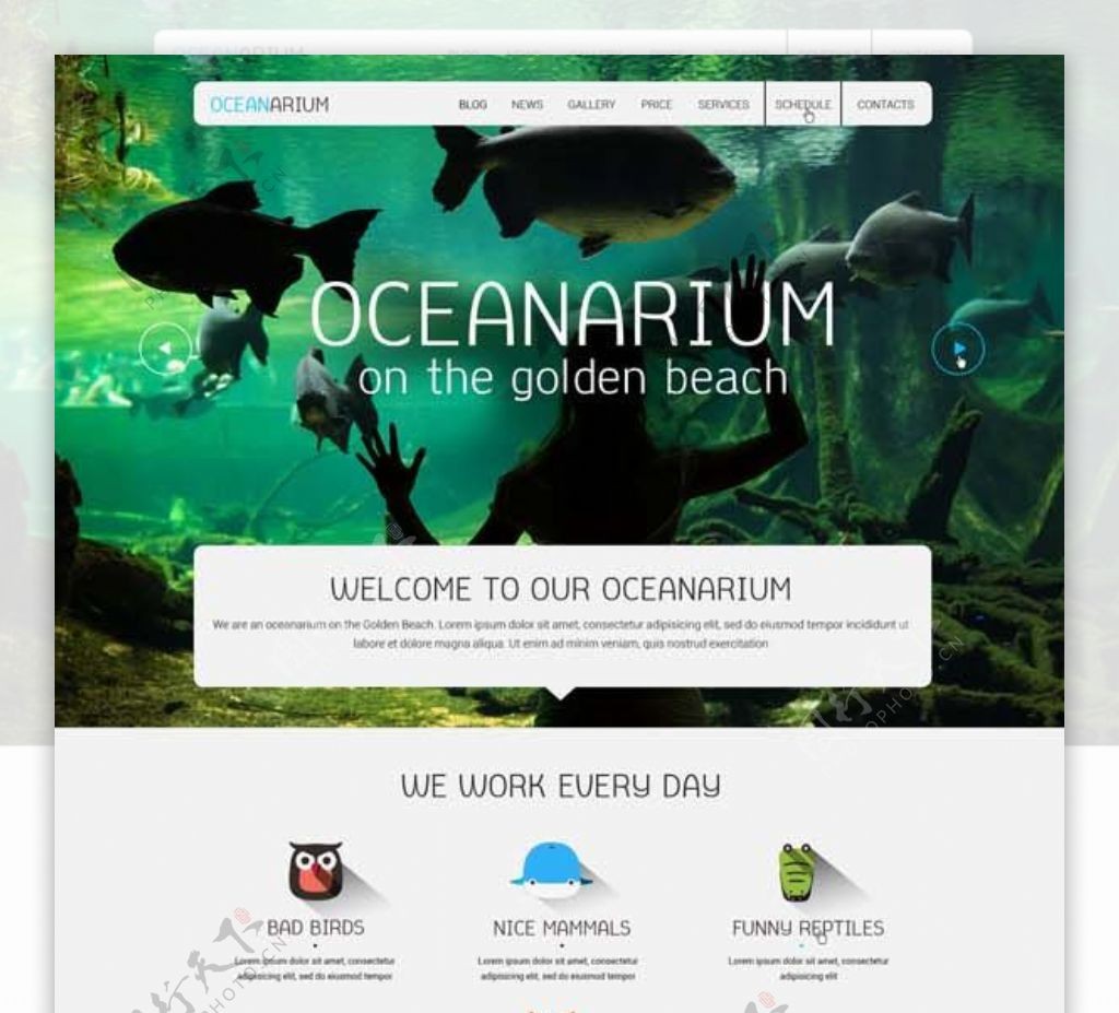 海洋馆网站模板