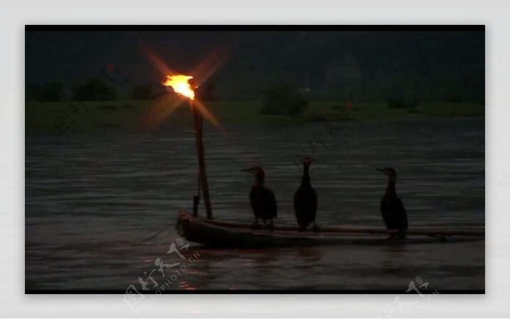 夜晚河中捕鱼视频素材图片