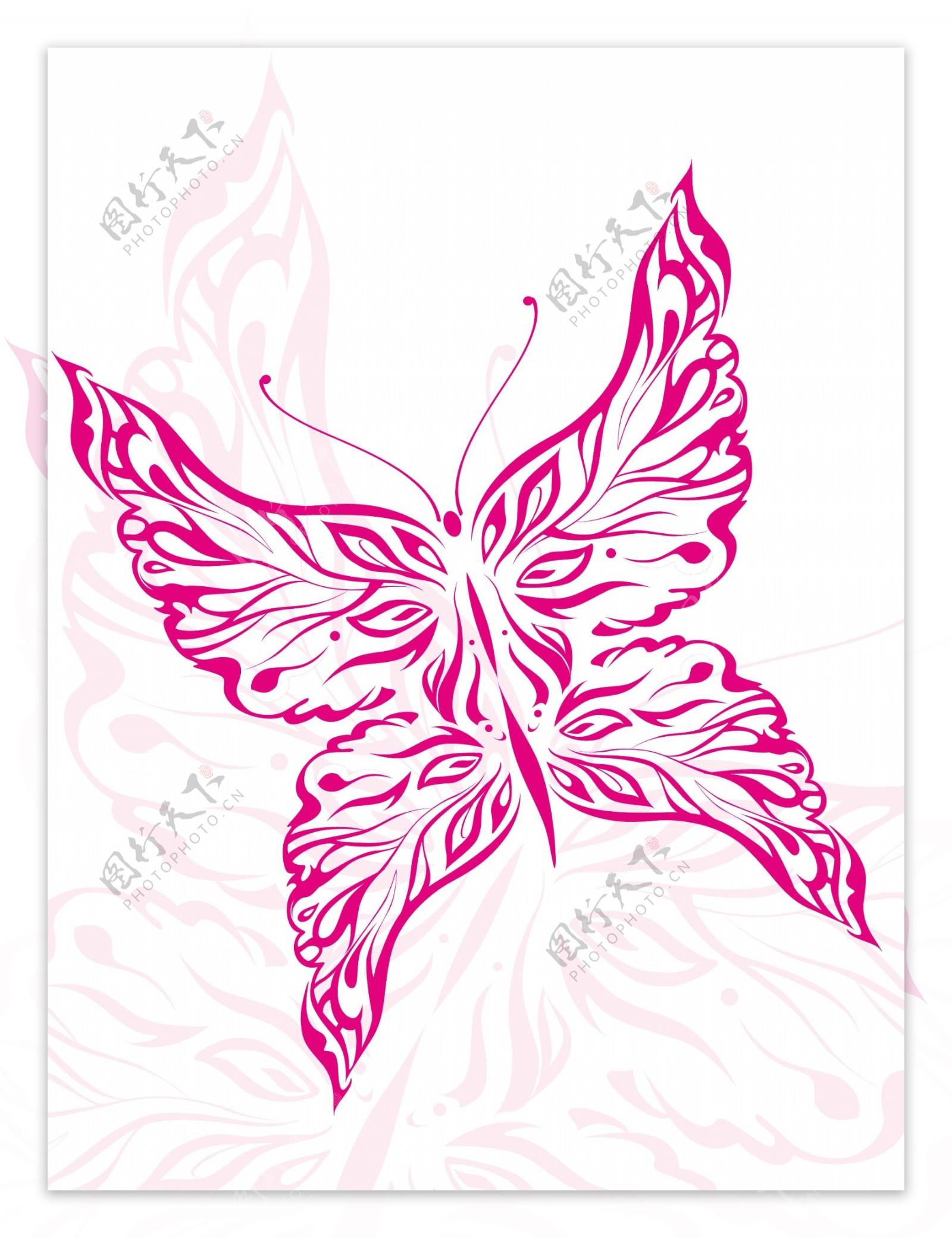 说明了美丽的粉红色的蝴蝶纹身