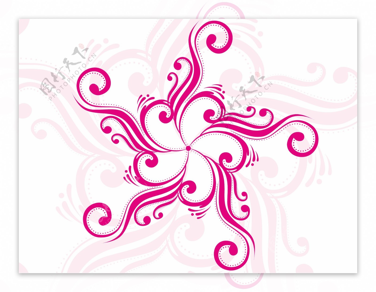 粉红色的花朵纹身