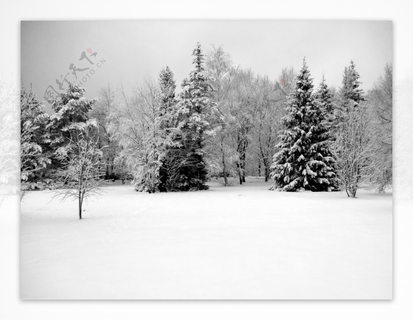 冬天雪景圣诞节寒冷冰雪实用图片精美图片印刷适用高清图片创意图片
