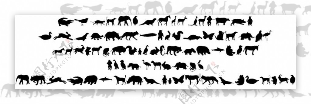 动物字体
