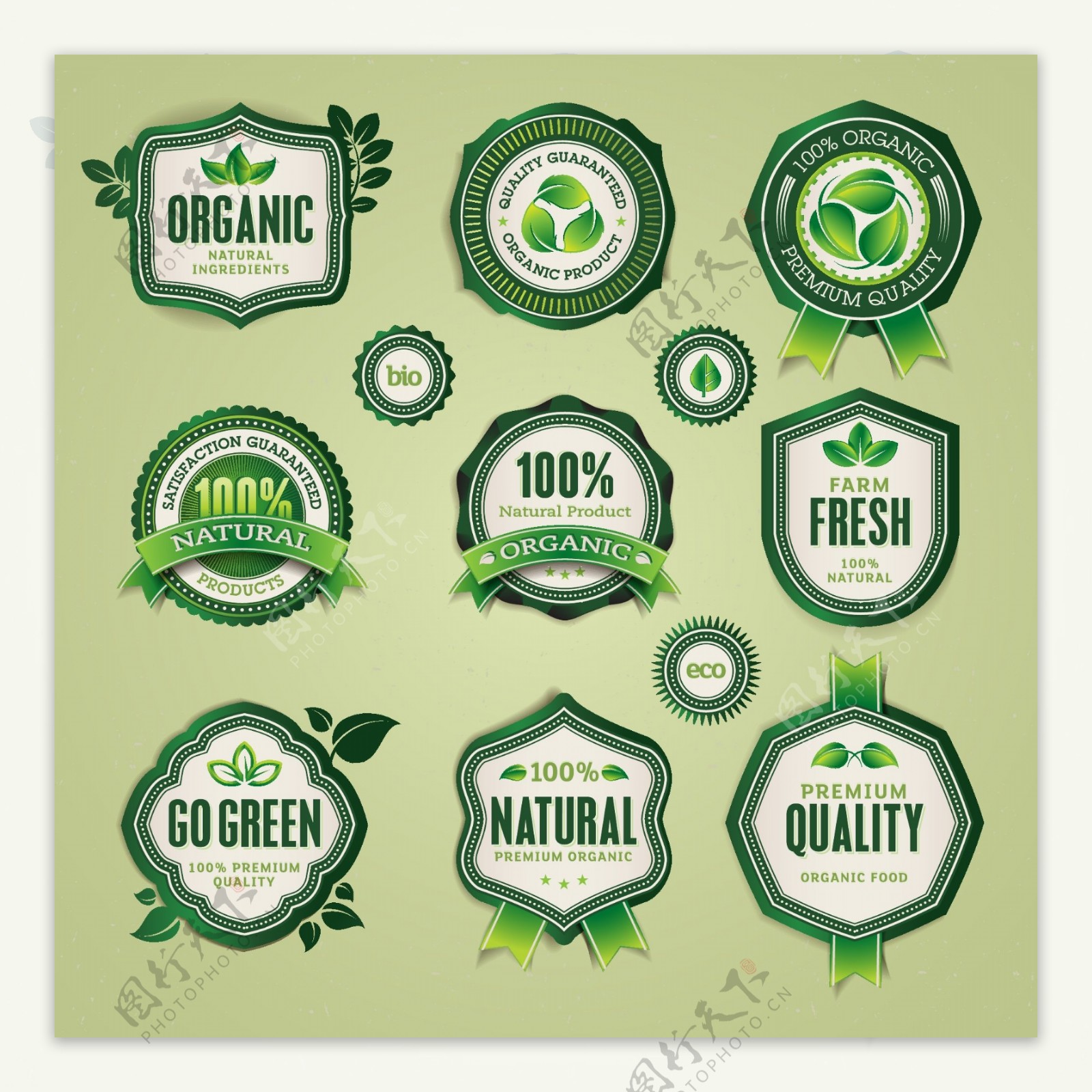 绿色环保标签贴纸图片