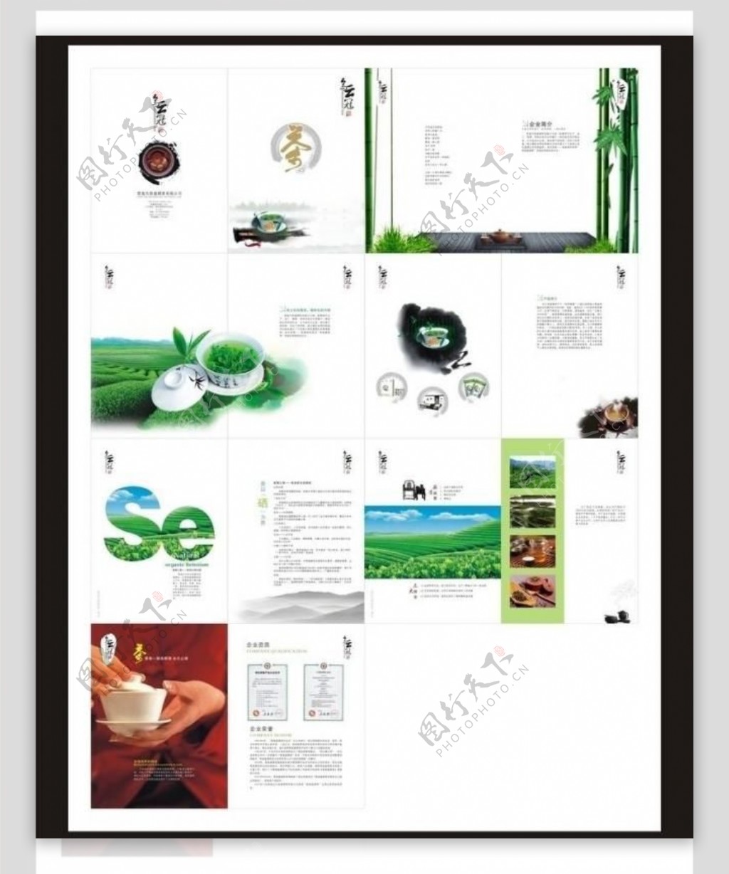 茶叶公司画册设计图片