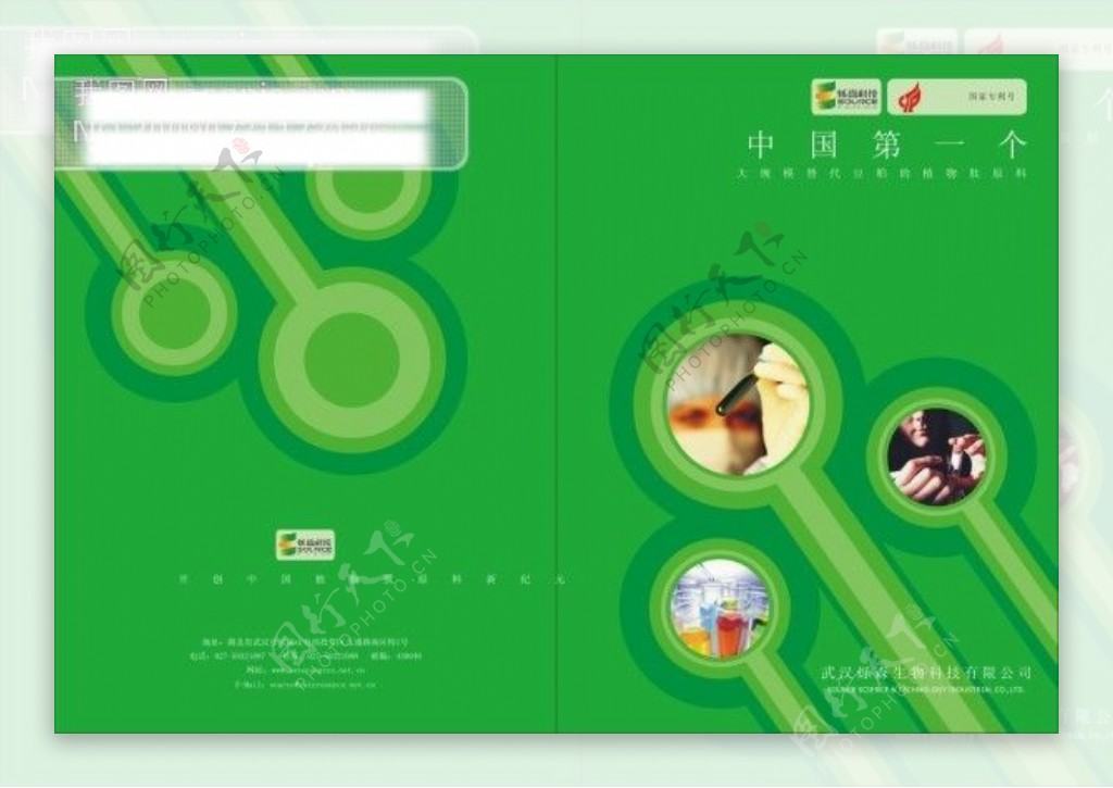 绿色画册封面植物科技