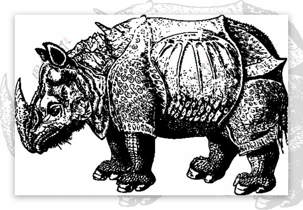 文艺复兴时期的犀牛剪贴画