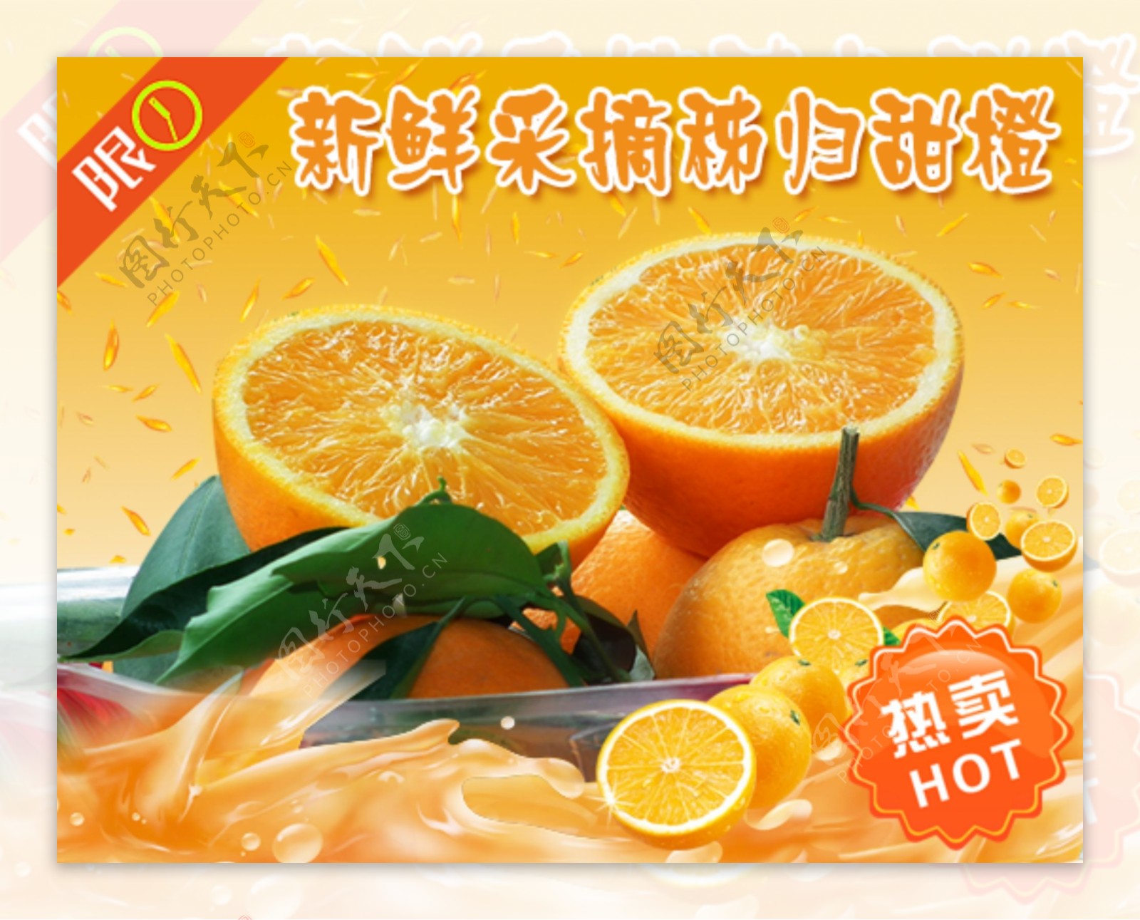 新鲜采摘秭归甜橙