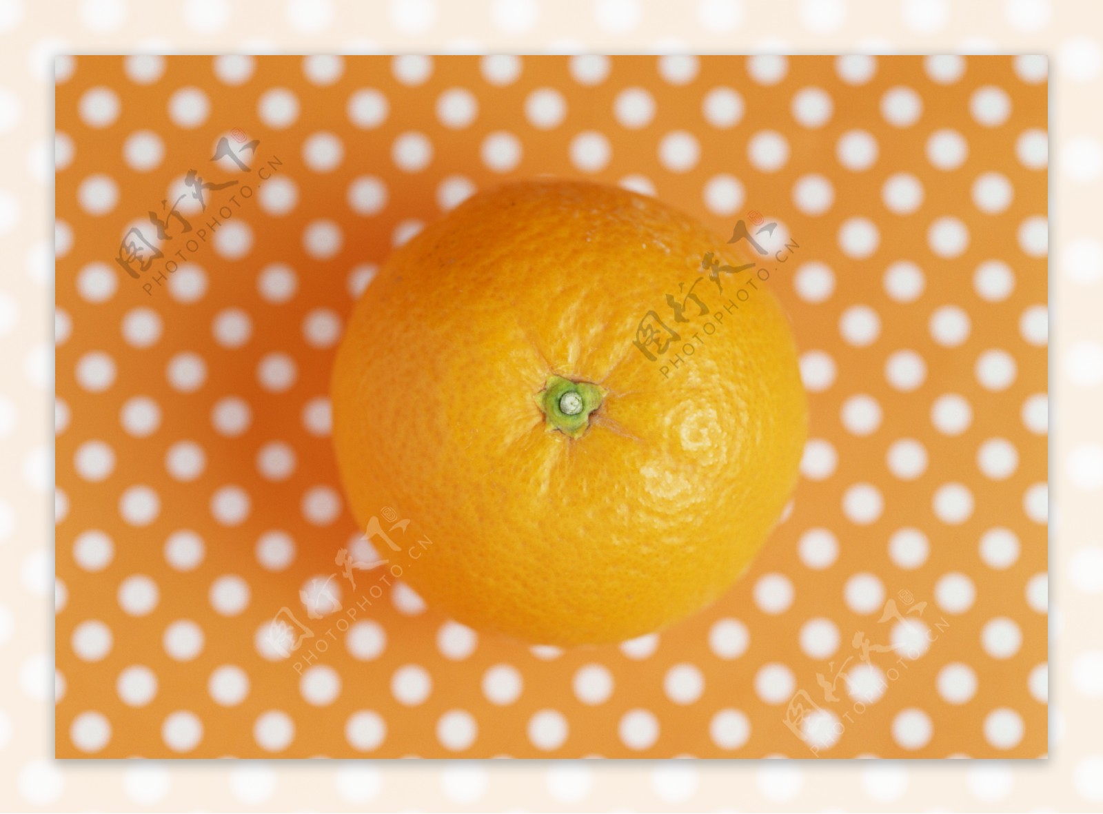 橙子水果新鲜水果