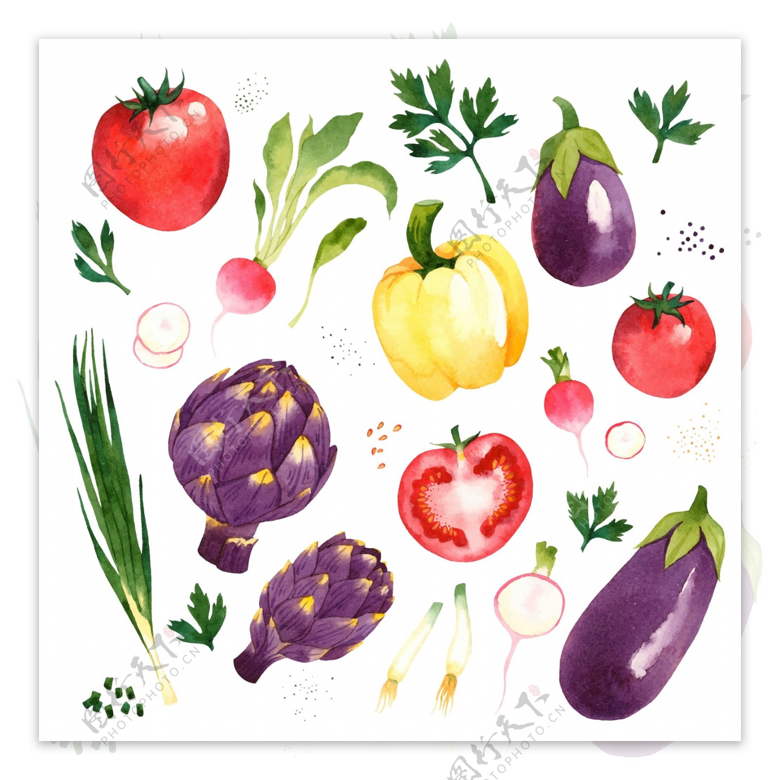 水彩蔬菜图片