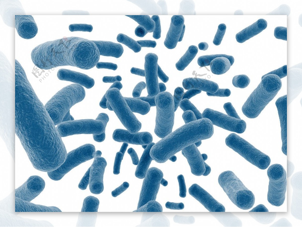 病毒细菌微生物图片