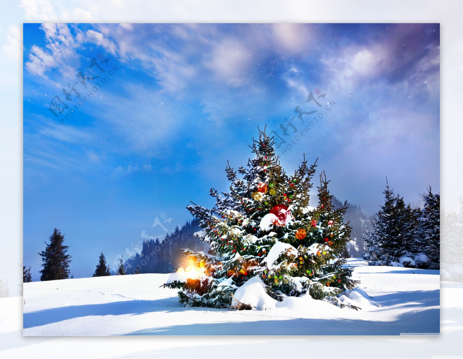 蔚蓝星空圣诞树白雪大地图片