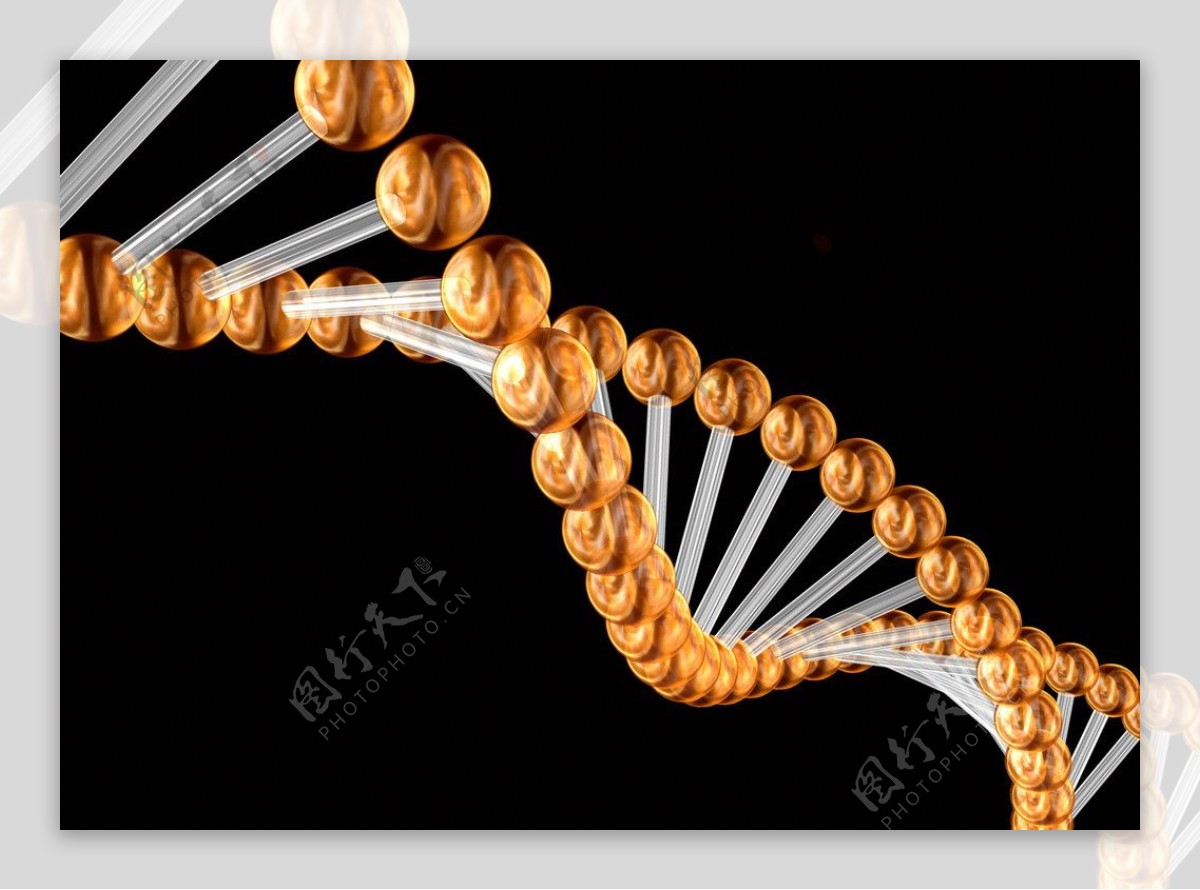 分子结构图图片