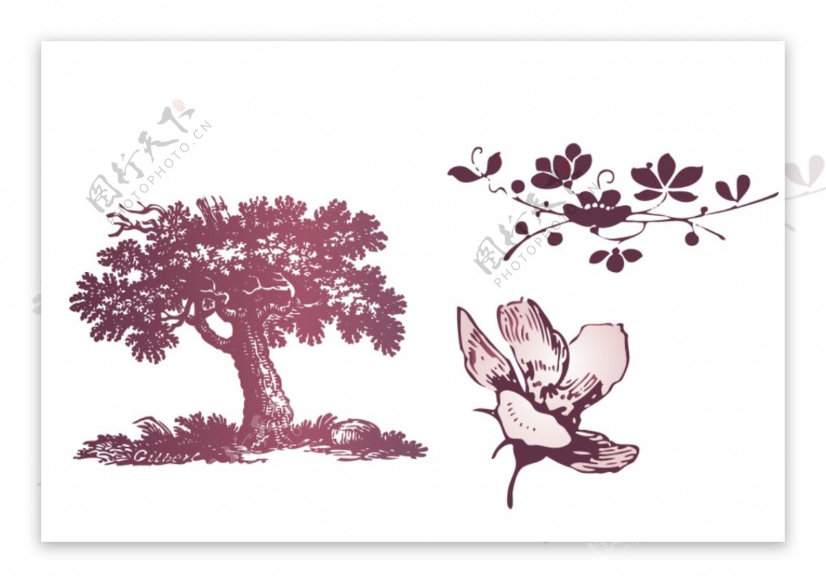 欧式树木花朵图片