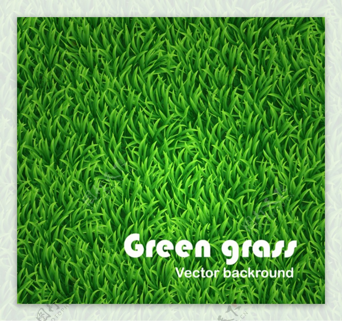 Grass草图片